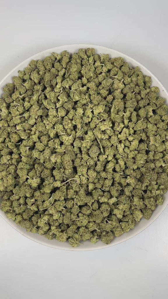 PUFFY Pleazure (smalls) is a balanced hybrid THCa strain created through the refined union of Dweebz and ZHit. The aroma is a tropical delight, bursting with juicy melons, ripe papaya, and a subtle hint of creamy coconut. Visually, dense spring green buds with purple hues and fiery orange pistils are coated in sticky trichomes. Consumers often report a euphoric, uplifting sense of mental clarity paired with a smooth, calming body relaxation that leaves them feeling balanced and refreshed.