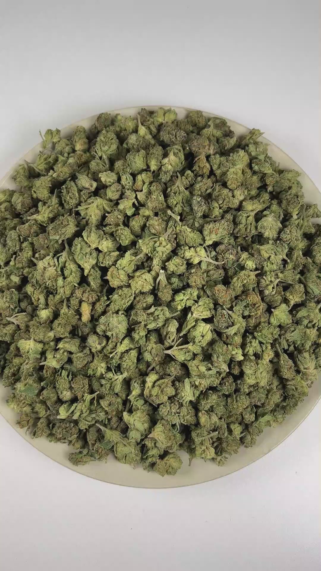 PUFFY Sour Tangie (smalls) is a sativa-dominant hybrid THCa strain, hailing from the legendary genetics of East Coast Sour Diesel and Tangie. The aroma starts with bright, sour citrus notes, followed by a subtle fuel-like finish. Visually, the dense buds display rich forest-green tones with hints of purple, accented by vibrant orange pistils and enveloped in a frosty layer of trichomes. Consumers often report a cerebral, uplifting head high that sparks euphoria, focus, and inspiration, accompanied by gentle