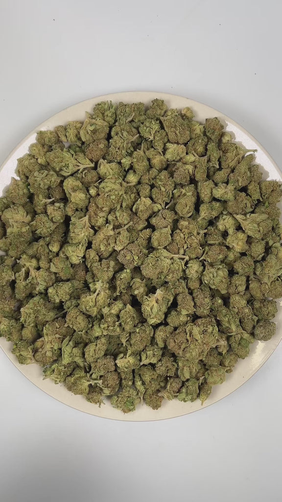 PUFFY Durban Poison is a pure sativa THCa landrace strain native to Durban, South Africa, preserved in its original, non-hybridized form. The aroma is a harmonious blend of crisp pine, bright citrus, and a subtle touch of sweet honey. Visually, dense apple green buds with purple hues and fiery orange pistils are coated in sticky trichomes. Consumers often report feeling euphoric, motivated, focused, energetic, uplifted, and creative, often accompanied by a clear-headed sense of inspiration. 