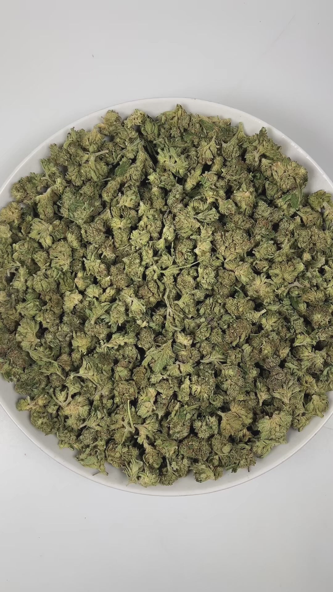 PUFFY Wedding Crasher (smalls) is a balanced hybrid THCa strain, born from the flavorful union of Wedding Cake × Purple Punch. The aroma opens with delicate floral notes layered over a rich, buttery sweetness, rounded out by a refreshing hint of ripe melon that adds a smooth and inviting finish. Visually, the buds are tightly formed, displaying green and purple hues highlighted by bright orange pistils and a thick coating of sparkling trichomes that create a frosty finish. Consumers often report feeling eup