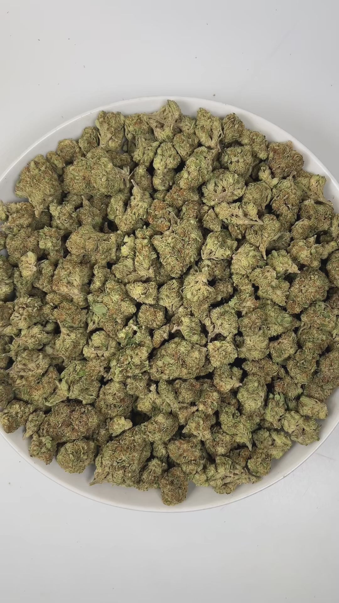 PUFFY Bacio Gelato is a balanced hybrid THCa strain born from the legendary cross of Sunset Sherbert and Thin Mint Girl Scout Cookies. The aroma is a complex blend of sharp pine, rich vanilla, and subtle gassy undertones, creating a bold and intriguing scent that is both earthy and slightly sweet. Visually, buds are dense and chunky, with pine green and purple tones, fiery orange pistils, and a frosty trichome coating. Consumers describe it as gentle yet uplifting, providing clear-headed calm and a subtle m