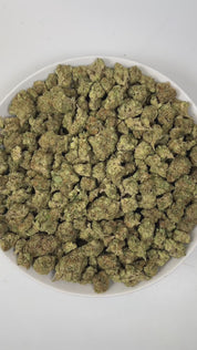 PUFFY Bacio Gelato is a balanced hybrid THCa strain born from the legendary cross of Sunset Sherbert and Thin Mint Girl Scout Cookies. The aroma is a complex blend of sharp pine, rich vanilla, and subtle gassy undertones, creating a bold and intriguing scent that is both earthy and slightly sweet. Visually, buds are dense and chunky, with pine green and purple tones, fiery orange pistils, and a frosty trichome coating. Consumers describe it as gentle yet uplifting, providing clear-headed calm and a subtle m