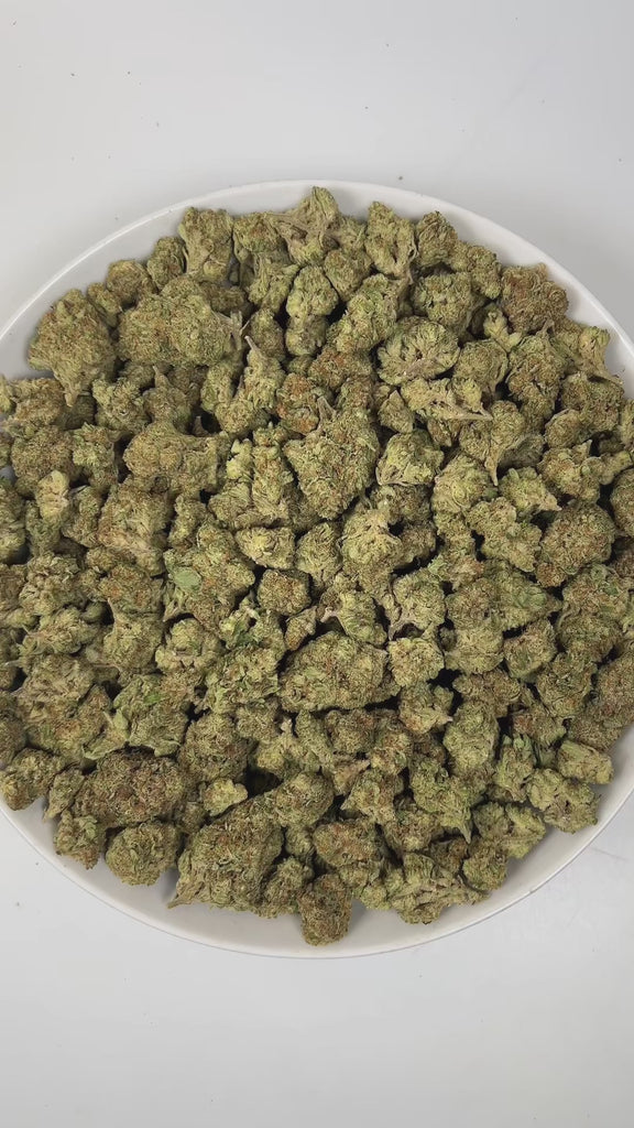 PUFFY Bacio Gelato is a balanced hybrid THCa strain born from the legendary cross of Sunset Sherbert and Thin Mint Girl Scout Cookies. The aroma is a complex blend of sharp pine, rich vanilla, and subtle gassy undertones, creating a bold and intriguing scent that is both earthy and slightly sweet. Visually, buds are dense and chunky, with pine green and purple tones, fiery orange pistils, and a frosty trichome coating. Consumers describe it as gentle yet uplifting, providing clear-headed calm and a subtle m