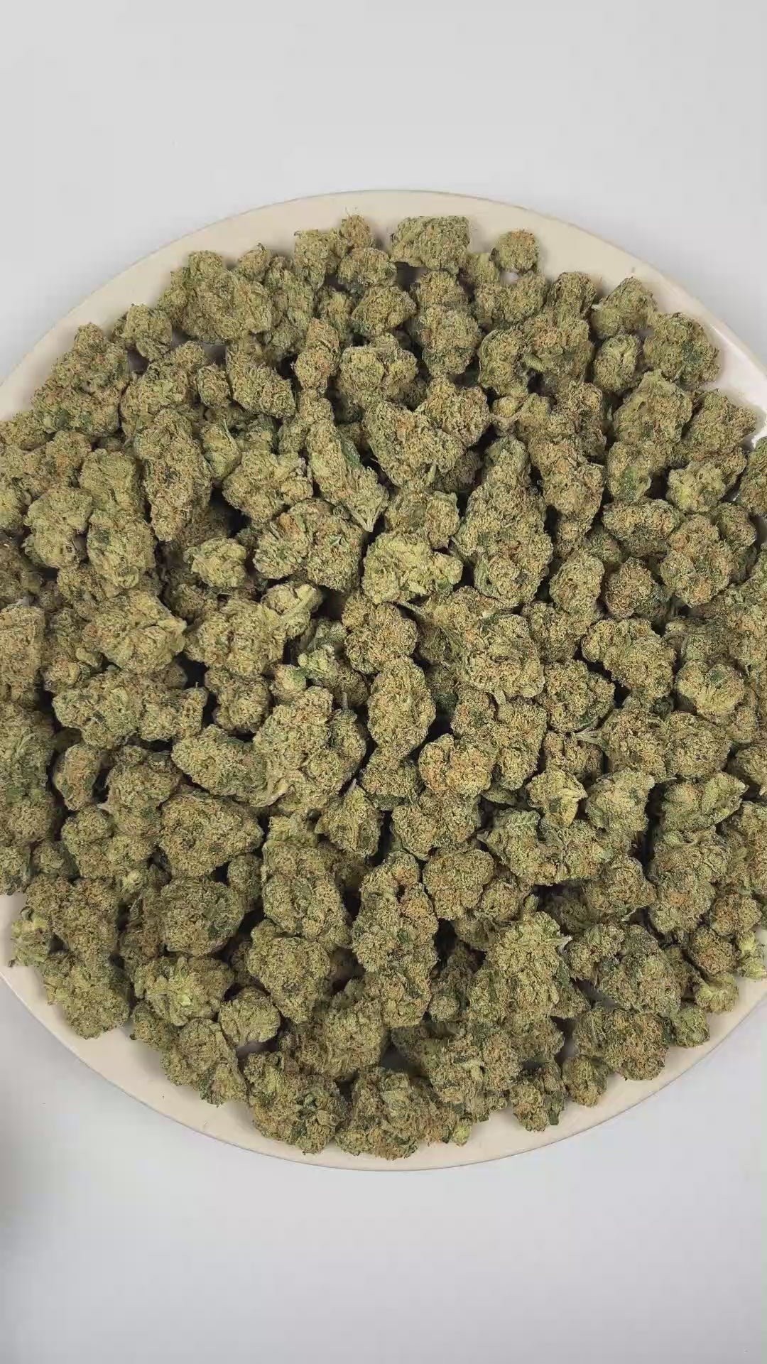 PUFFY Hustler Fuel is a balanced hybrid THCa strain lineage believed to stem from OG Kush and a Diesel/Chemdawg-descended hybrid (not officially verified). The aroma opens with funky savory notes and earthy garlic undertones, followed by a pungent intensity and sharp fuel-like character. Visually, dense forest green buds with purple hues and fiery orange pistils are coated in sticky trichomes. Consumers often report an uplifting euphoric buzz paired with enhanced focus, heightened mental clarity, and a deep