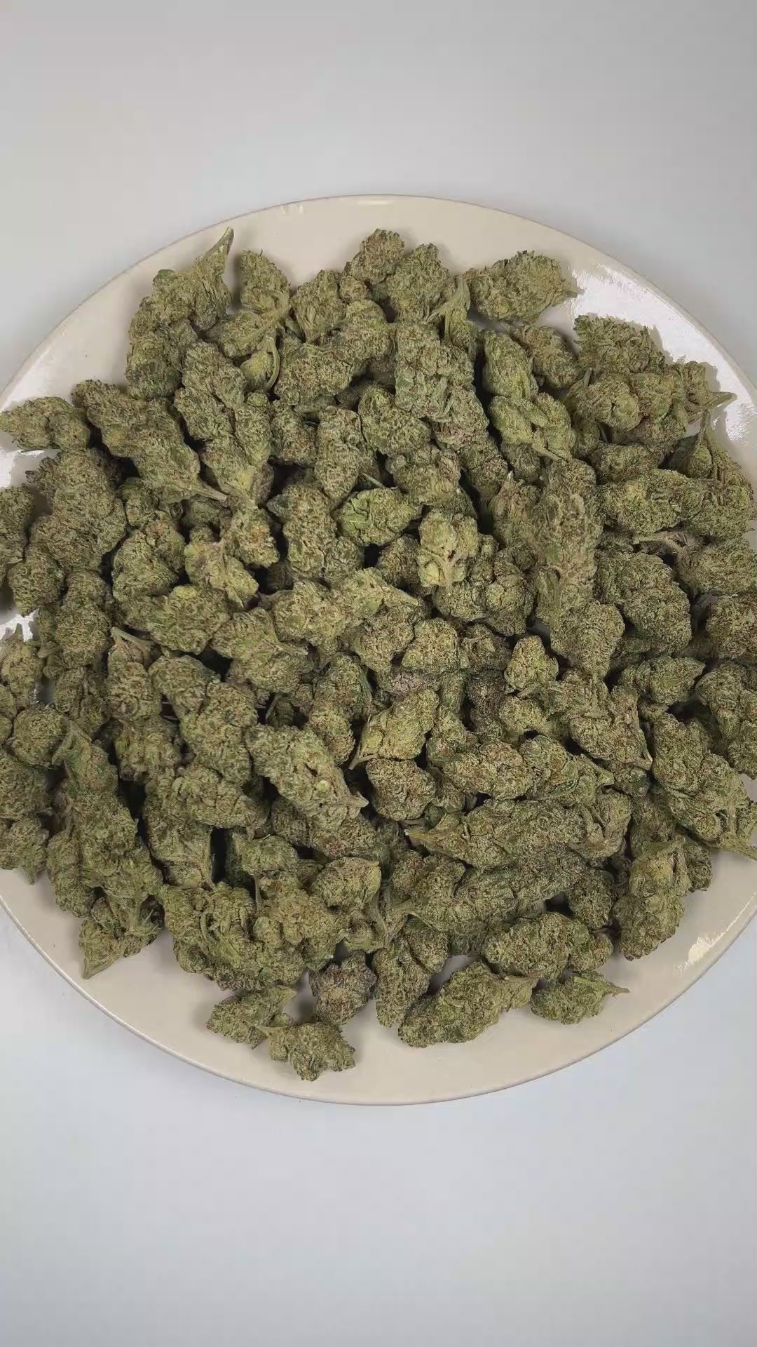 PUFFY Galactic Gas is an indica-dominant hybrid THCa strain rooted in the premium lineage of  Gelato 45 and Gushers. The aroma opens with sweet candy notes, unfolds into vibrant fruity undertones, and finishes with a rich, gassy edge. Visually, dense forest green buds with purple hues and fiery orange pistils are coated in sticky trichomes. Consumers often report an uplifting sense of euphoria and enhanced mental clarity that gradually gives way to a soothing wave of deep physical relaxation. 
