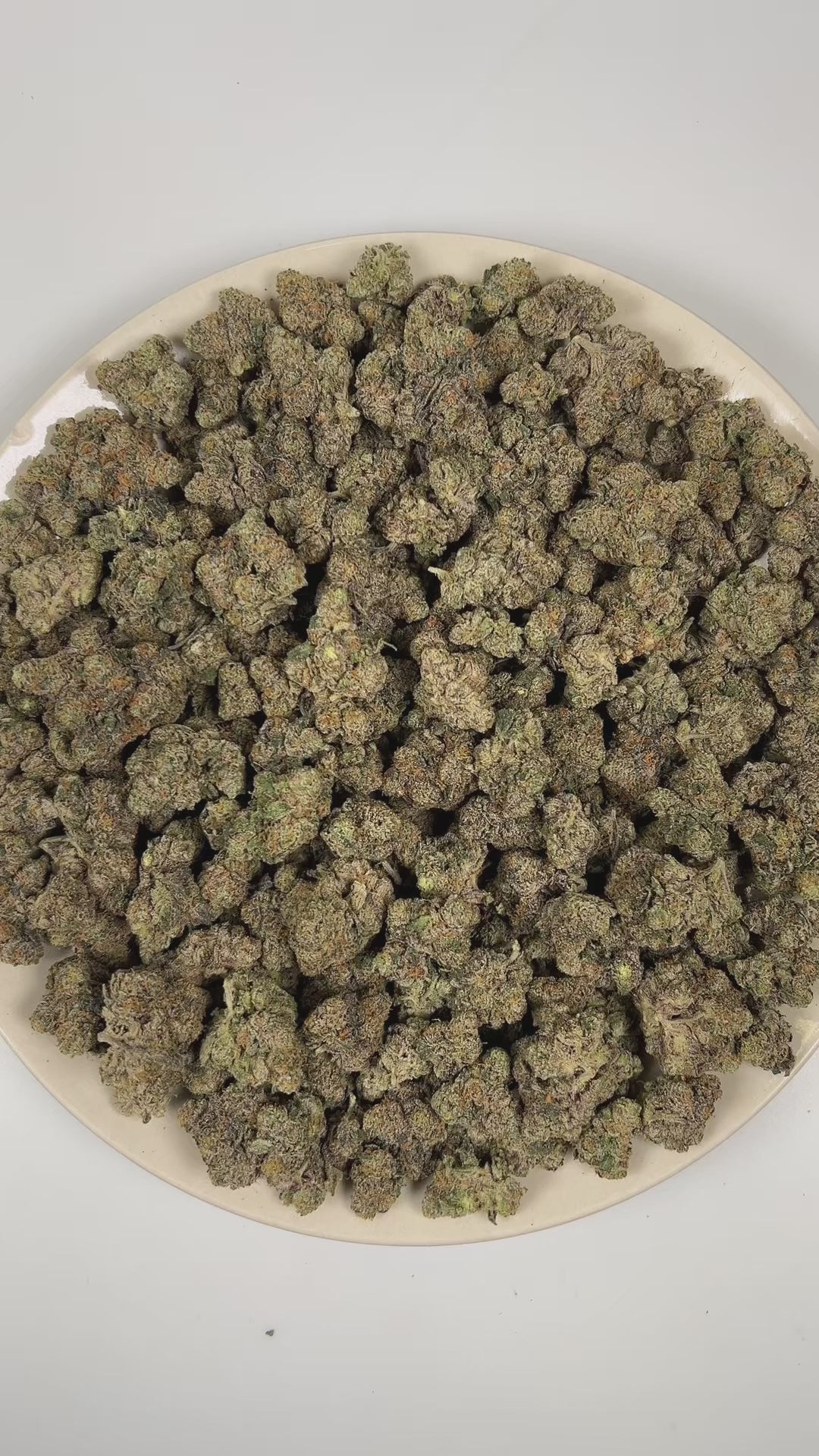 PUFFY Bolo Runtz is an indica-dominant hybrid THCa strain bred from the exceptional pairing of Gelato and Original Z. The aroma is rich and layered, blending dank, fruity sweetness with a bold, gassy undertone. Visually, the buds are dense and vibrant, showcasing vivid green and deep purple hues, accented by bright orange pistils and a generous coating of sparkling trichomes. Consumers often report a balanced high that begins with a euphoric cerebral lift and gradually settles into a soothing body effect.