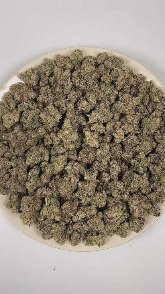 PUFFY Bolo Runtz is an indica-dominant hybrid THCa strain bred from the exceptional pairing of Gelato and Original Z. The aroma is rich and layered, blending dank, fruity sweetness with a bold, gassy undertone. Visually, the buds are dense and vibrant, showcasing vivid green and deep purple hues, accented by bright orange pistils and a generous coating of sparkling trichomes. Consumers often report a balanced high that begins with a euphoric cerebral lift and gradually settles into a soothing body effect.