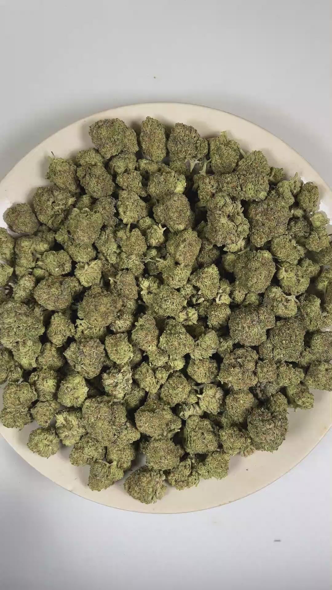 PUFFY Miami White is a balanced hybrid THCa strain rooted in the exceptional lineage of Miami Haze and The White.  The aroma opens with fresh flour-like notes, layered with rich, doughy undertones that gradually settle into a clean, earthy herbal finish. Visually, dense forest green buds with purple hues and fiery orange pistils are coated in sticky trichomes. Consumers often report an uplifting sense of euphoria paired with an elevated mood, enhanced mental clarity, creative focus, and a calming sense of p