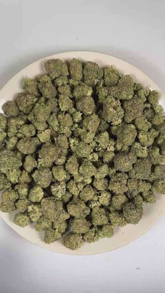 PUFFY Miami White is a balanced hybrid THCa strain rooted in the exceptional lineage of Miami Haze and The White.  The aroma opens with fresh flour-like notes, layered with rich, doughy undertones that gradually settle into a clean, earthy herbal finish. Visually, dense forest green buds with purple hues and fiery orange pistils are coated in sticky trichomes. Consumers often report an uplifting sense of euphoria paired with an elevated mood, enhanced mental clarity, creative focus, and a calming sense of p