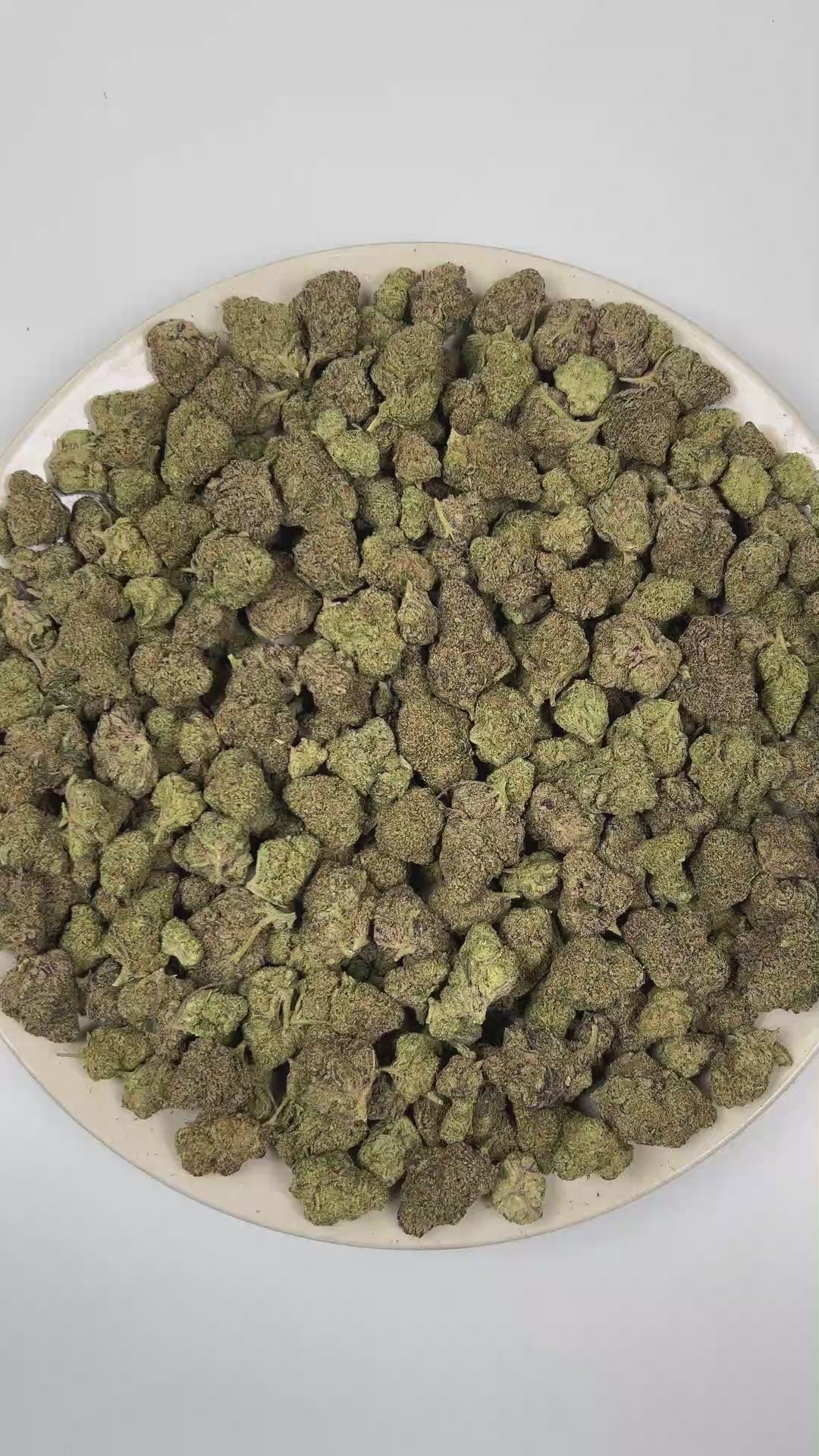 PUFFY Cherry Cough Syrup is an indica-dominant hybrid THCa strain created through the masterful blending of OG Kush × Nigerian Lemon × DPG Pheno. The aroma opens with a burst of ripe cherries and sweet candy notes, layered over a rich fuel-forward undertone. Visually, dense forest green buds with purple hues and fiery orange pistils are coated in sticky trichomes. Consumers often report a euphoric and uplifting mood boost that gradually settles into a deeply relaxing and calming experience. 