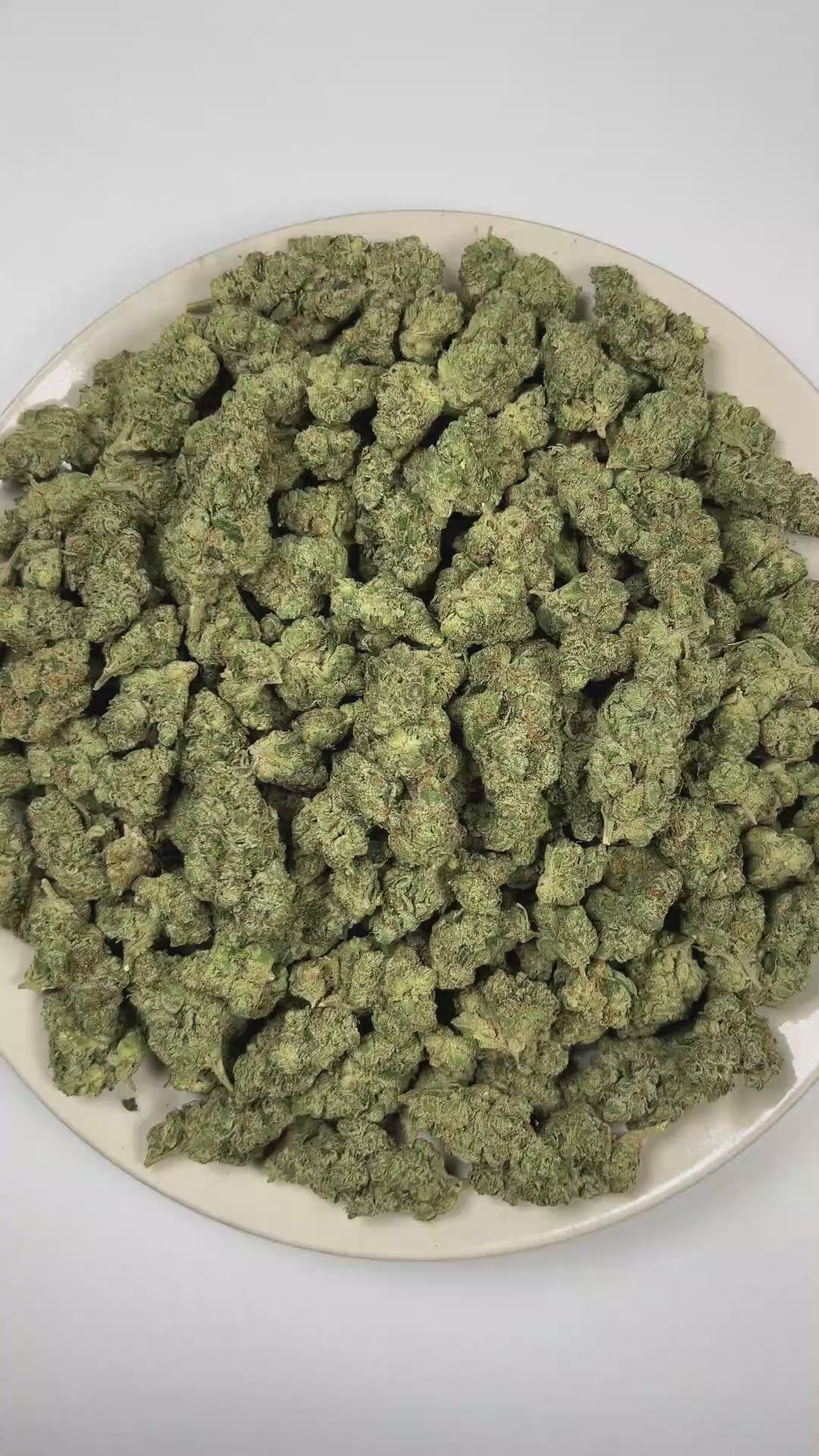 Gorilla Glue THCa Flower (Indoor) (Hybrid) – 3