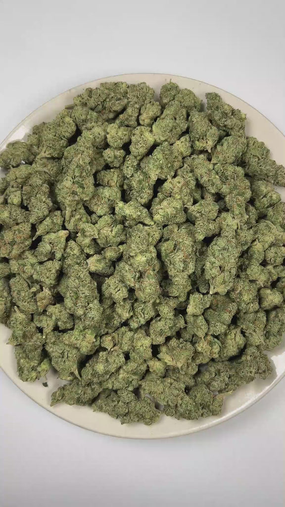 Gorilla Glue THCa Flower (Indoor) (Hybrid) – 3