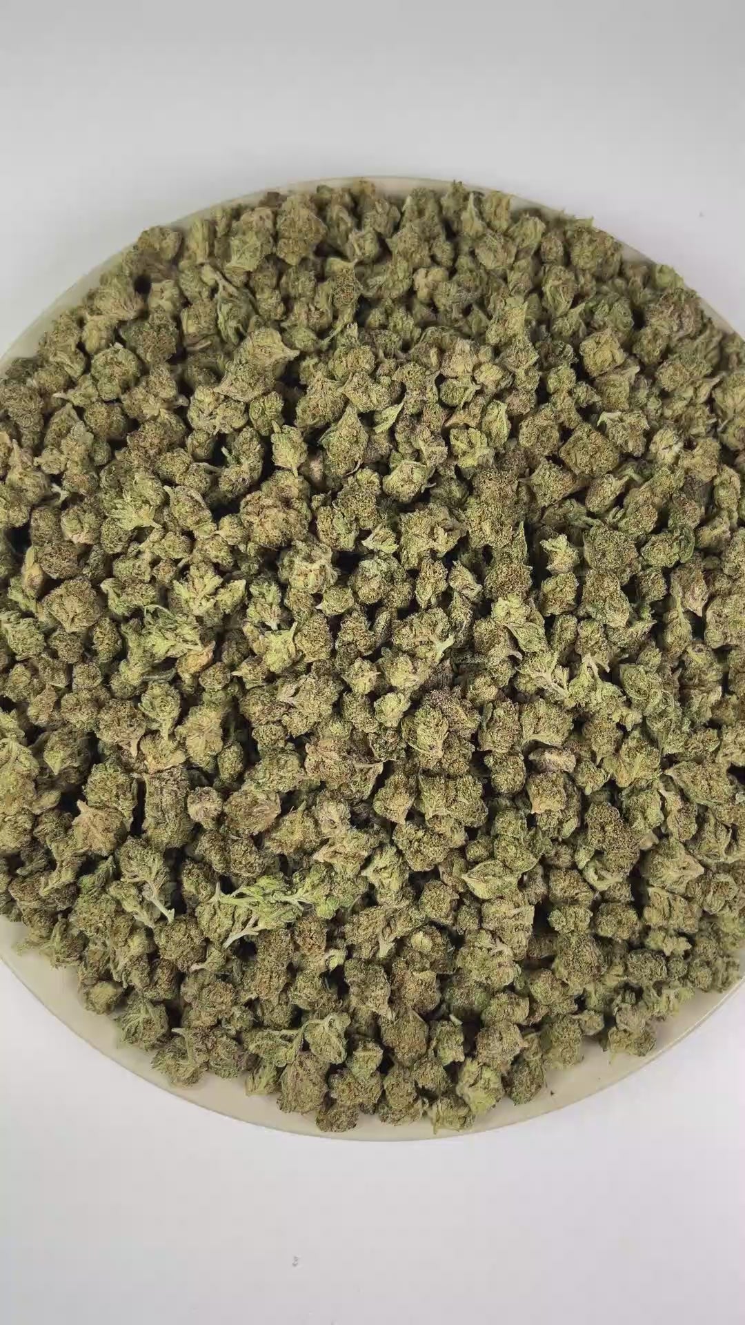 PUFFY Lemonatti (smalls) is a sativa-dominant hybrid THCa strain crafted through the masterful blend of Gelonade and Biscotti. The aroma combines sharp, gassy notes with a pungent scent and strong fuel-like undertones. Visually, dense forest green buds with purple hues and fiery orange pistils are coated in sticky trichomes. Consumers often report euphoric and uplifting effects paired with energizing mental clarity, enhanced focus, and a gentle sense of relaxation.