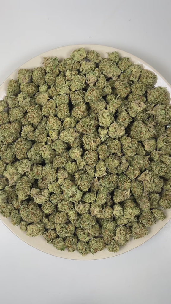 PUFFY Papaya Punch is an indica-dominant hybrid THCa strain crafted from the flavorful union of Papaya and Purple Punch. The aroma opens with a lush burst of ripe papaya and creamy banana, layered over bright tropical fruit notes. Visually, dense forest green buds with purple hues and fiery orange pistils are coated in sticky trichomes. Consumers often report a smooth high, beginning with a gentle cerebral uplift that sparks creativity and lighthearted conversation, then gradually flowing into deep, full-bo