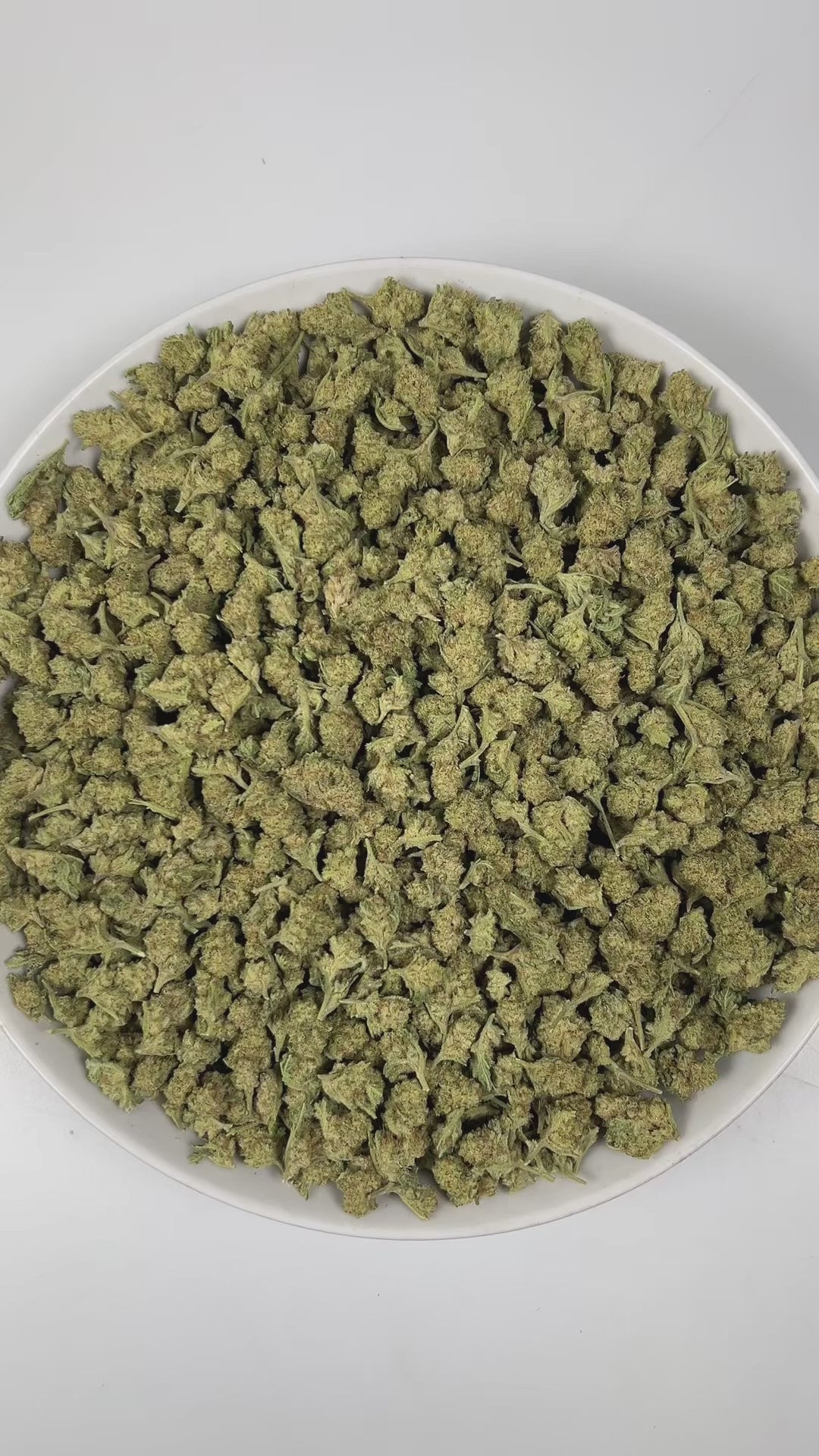 PUFFY MAC 1 (smalls) (Miracle Alien Cookies) is a balanced hybrid THCa strain, from the renowned pairing of Alien Cookies F2 with a Miracle 15. The aroma is a bold and intriguing blend of diesel, sweet papaya, and juicy melon, creating a vibrant and unforgettable scent experience. Visually captivating, the buds are thick and resinous, shimmering with frosty trichomes, while vibrant orange pistils thread through shades of dark green and purple. Consumers often report that it delivers euphoric cerebral uplift