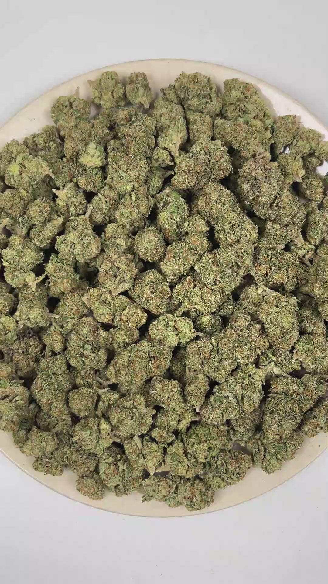 PUFFY Grape Gas is a balanced hybrid THCa strain, created from the fusion of Jet Fuel Gelato and Grape Pie. The aroma opens with bold peppery spice, layered with earthy herbal notes and a rich gassy finish. Visually, it shows deep violet tones with green leaves, orange pistils, and a sparkling coat of trichomes. Consumers often report a stimulating, blissful high that ignites creativity while a gentle body relaxation eases stress and enhances focus, ideal for social moments or creative pursuits. 