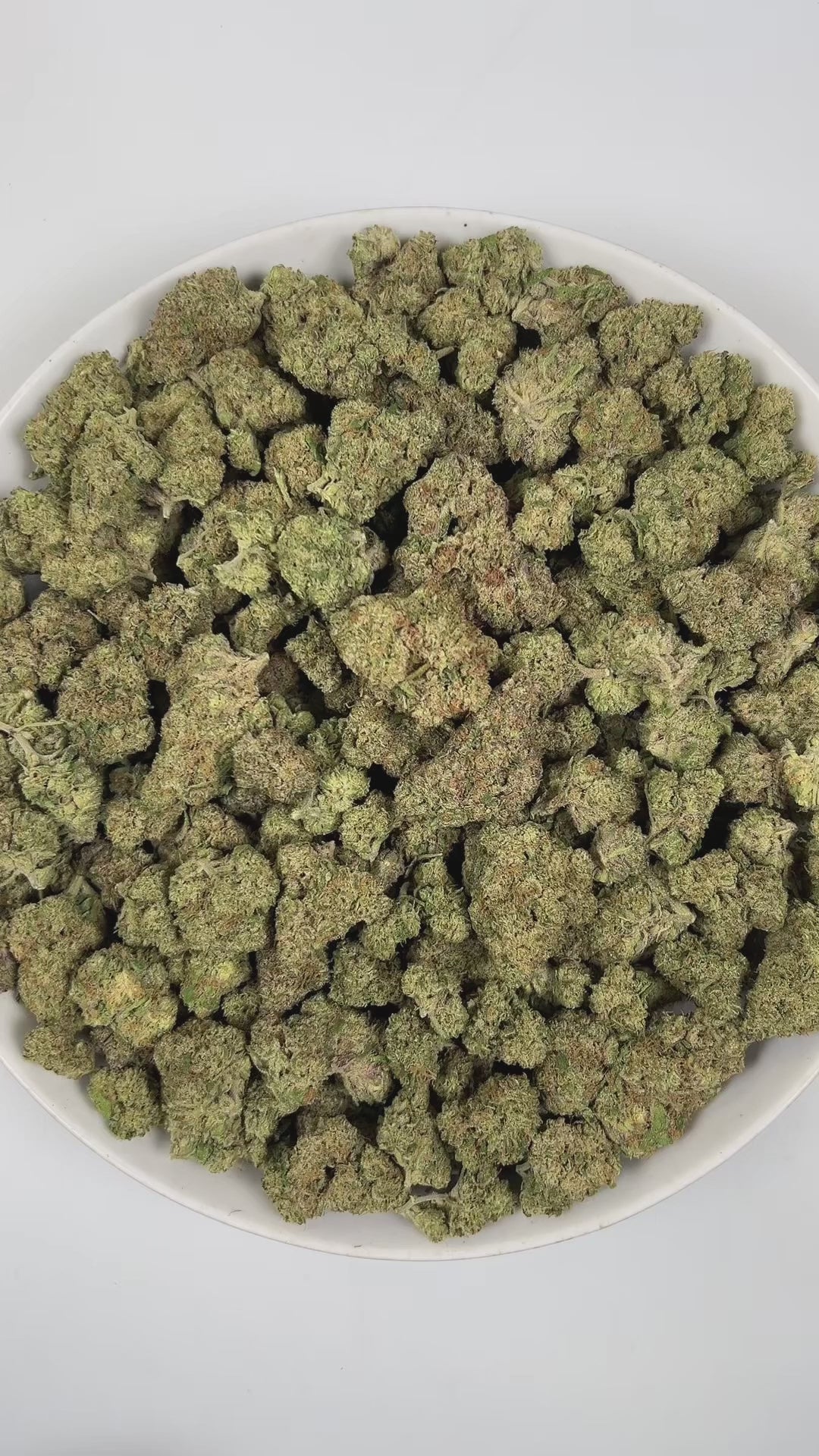 PUFFY Marathon OG is a potent indica-dominant hybrid THCa strain, crafted from the legendary OG Kush lineage, which includes either Chemdawg, Lemon Thai, or Hindu Kush. The aroma is a bold and earthy blend of fresh pine, pungent gassy notes, and subtle mossy undertones. Visually, dense forest green buds with purple hues and fiery orange pistils are coated in sticky trichomes. Consumers often report a balance of euphoria and relaxation, heightened focus, and a pleasant boost in appetite.