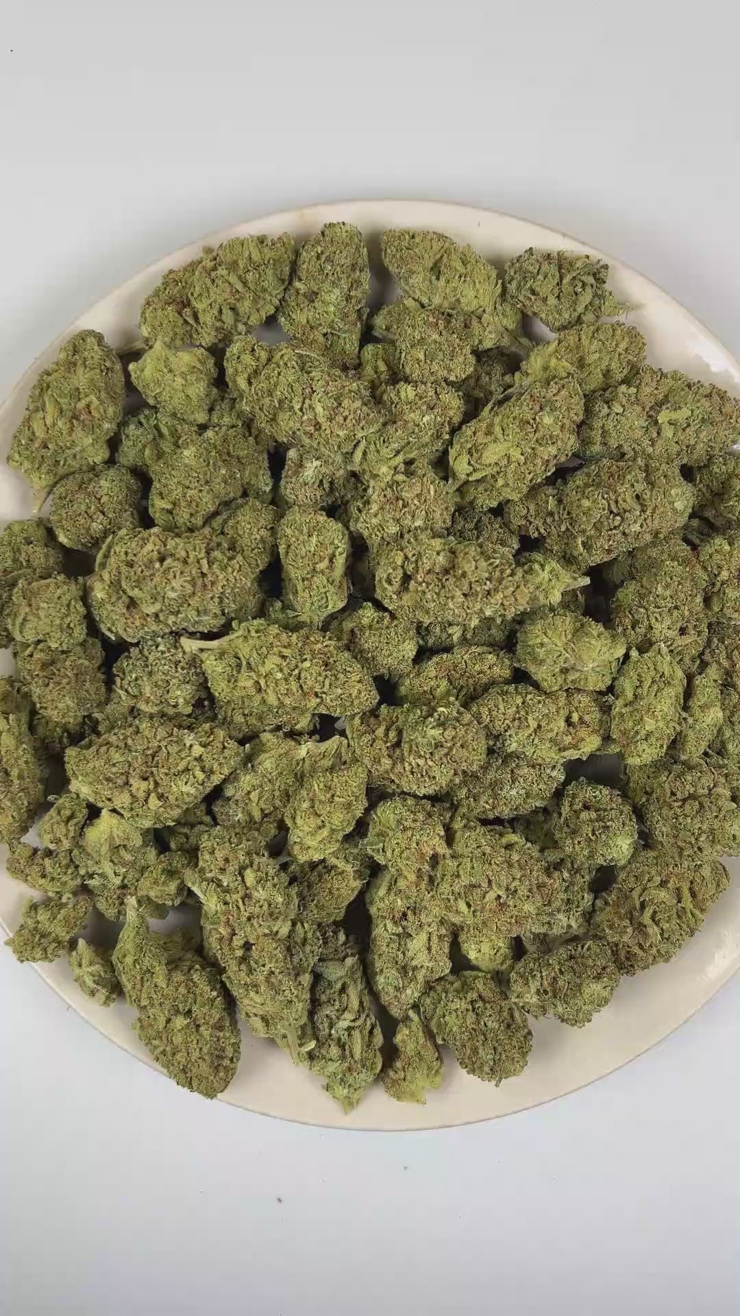 Papaya Runtz THCa Flower (Indoor) (Hybrid) – 3