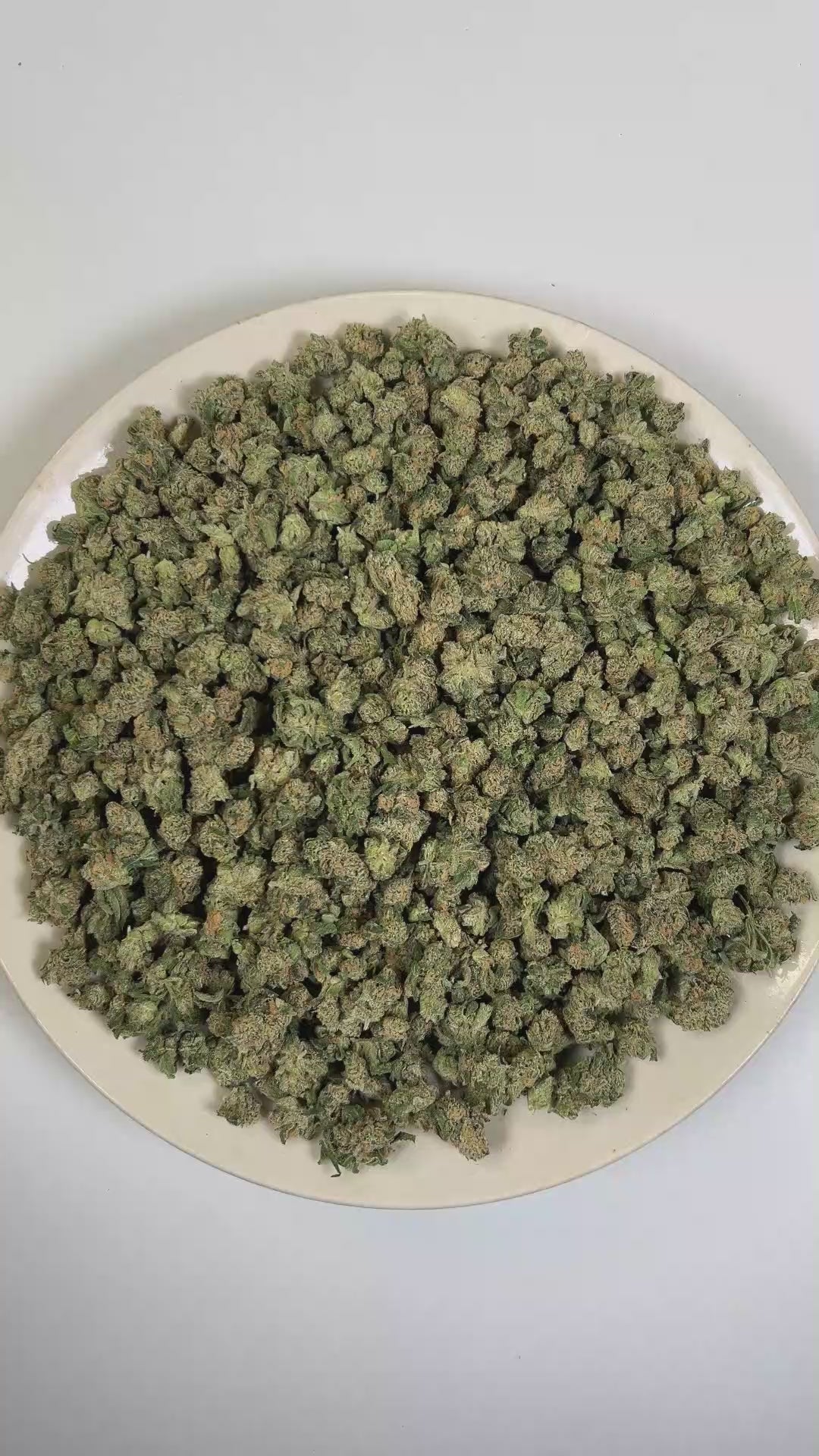 Blue Dream THCa Flower (Exotic) (Sativa Hybrid) – 3