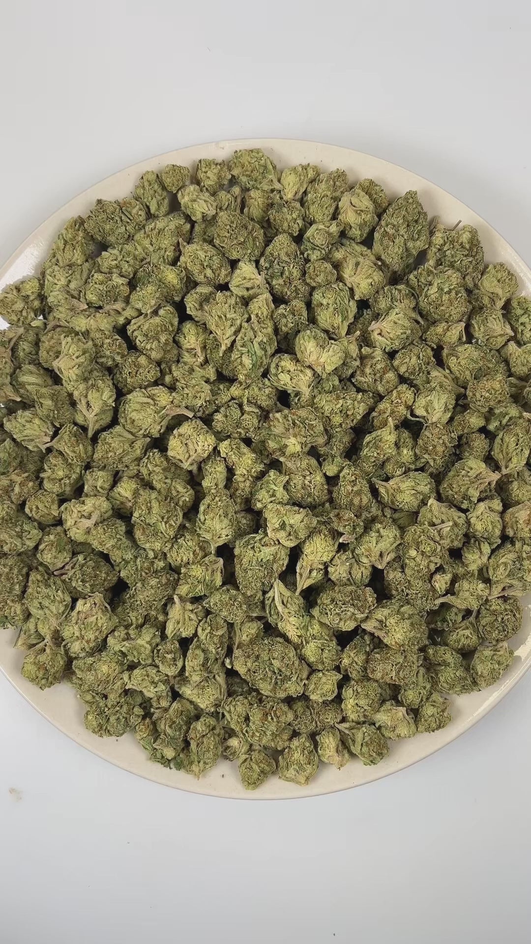 PUFFY Blue Diesel is a balanced hybrid THCa strain, born from the legendary cross between Blueberry and NYC Diesel. The aroma is a vibrant blend of sweet blueberries, sharp diesel, and luscious tropical notes, creating a rich and enticing sensory experience. Visually, dense deep forest green buds with purple hues and fiery orange pistils are coated in sticky trichomes. Consumers often report a blissfully euphoric and uplifting high, complemented by gentle body relaxation that enhances mood and encourages so