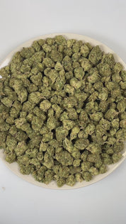 PUFFY Blue Diesel is a balanced hybrid THCa strain, born from the legendary cross between Blueberry and NYC Diesel. The aroma is a vibrant blend of sweet blueberries, sharp diesel, and luscious tropical notes, creating a rich and enticing sensory experience. Visually, dense deep forest green buds with purple hues and fiery orange pistils are coated in sticky trichomes. Consumers often report a blissfully euphoric and uplifting high, complemented by gentle body relaxation that enhances mood and encourages so