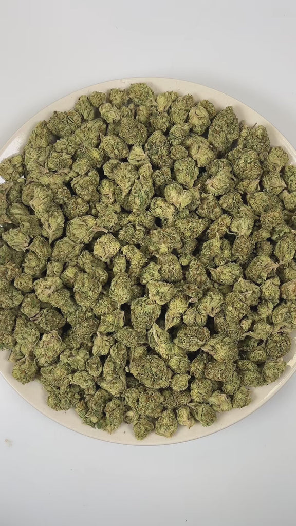 PUFFY Blue Diesel is a balanced hybrid THCa strain, born from the legendary cross between Blueberry and NYC Diesel. The aroma is a vibrant blend of sweet blueberries, sharp diesel, and luscious tropical notes, creating a rich and enticing sensory experience. Visually, dense deep forest green buds with purple hues and fiery orange pistils are coated in sticky trichomes. Consumers often report a blissfully euphoric and uplifting high, complemented by gentle body relaxation that enhances mood and encourages so