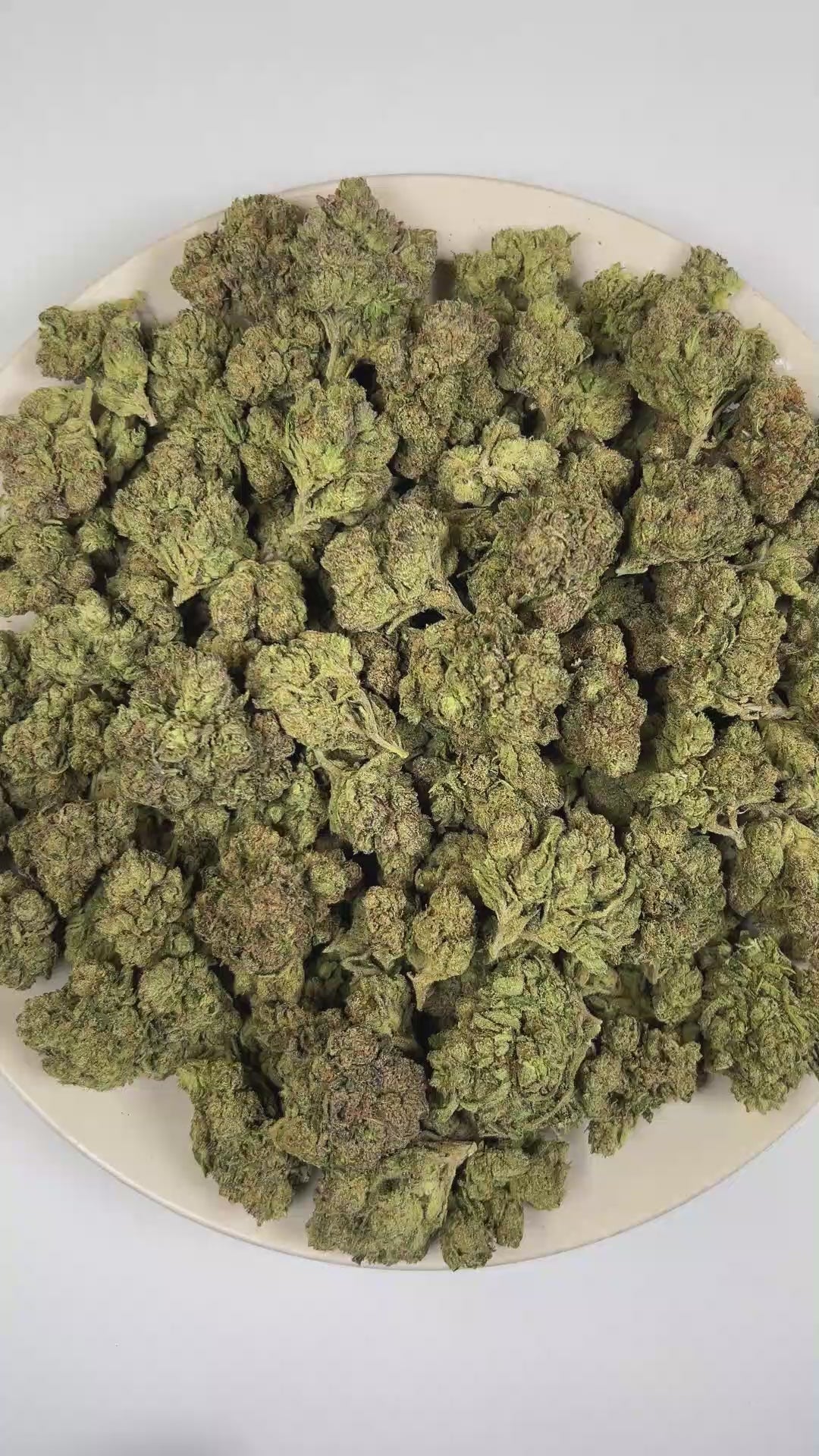 PUFFY Blueberry Gelato is an indica THCa strain crafted through the masterful blend of Thin Mint Girl Scout Cookies and Blueberry. The aroma presents a bold fusion of pungent fuel, ripe fruity sweetness, and rich gassy undertones. Visually, dense deep forest green buds with purple hues and fiery orange pistils are coated in sticky trichomes. Consumers often report experiencing a euphoric, deeply relaxed sensation that helps promote a calm, uplifting mood while encouraging overall physical and mental ease. 