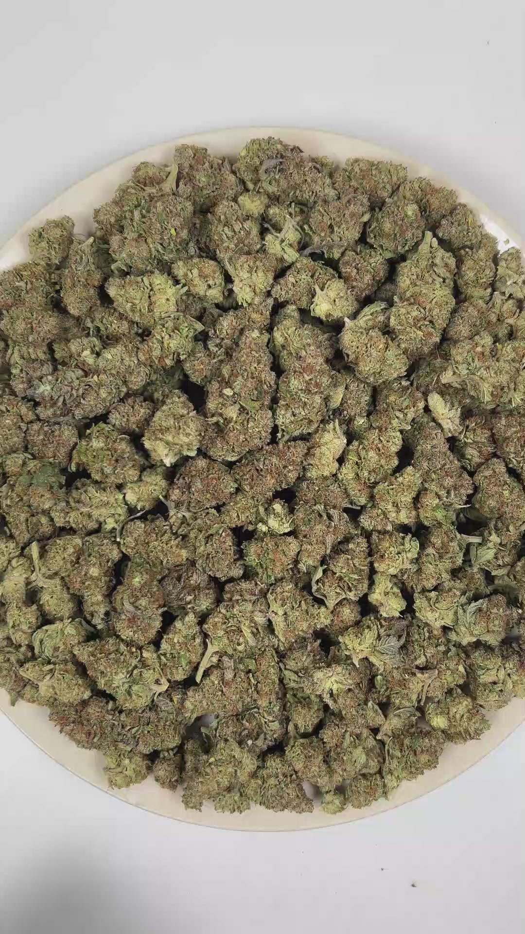 PUFFY Purple Skunk is a sativa-dominant hybrid THCa strain formulated through the selective pairing of  Skunk #1 and Purple Kush. The aroma opens with a pungent fusion of sharp onions, savory garlic, and deep gassy undertones. Visually, dense forest green buds with purple hues and fiery orange pistils are coated in sticky trichomes. Consumers often report feeling euphoric and invigorated, with enhanced focus, creativity, and a bright, mentally stimulating experience. 