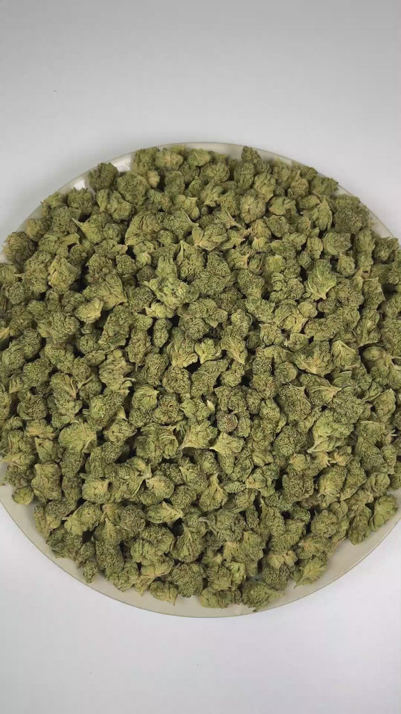 PUFFY Gorilla Glue (smalls) is a balanced hybrid THCa strain emerging from the complex union of  Chem’s Sister, Sour Dubb, and Chocolate Diesel. The aroma is rich with herbal notes, warm woody undertones, and a subtle layer of aromatic spice. Visually, dense forest green buds with purple hues and fiery orange pistils are coated in sticky trichomes. Consumers often report feeling euphoric and uplifted, with a focused yet deeply relaxed experience.  
