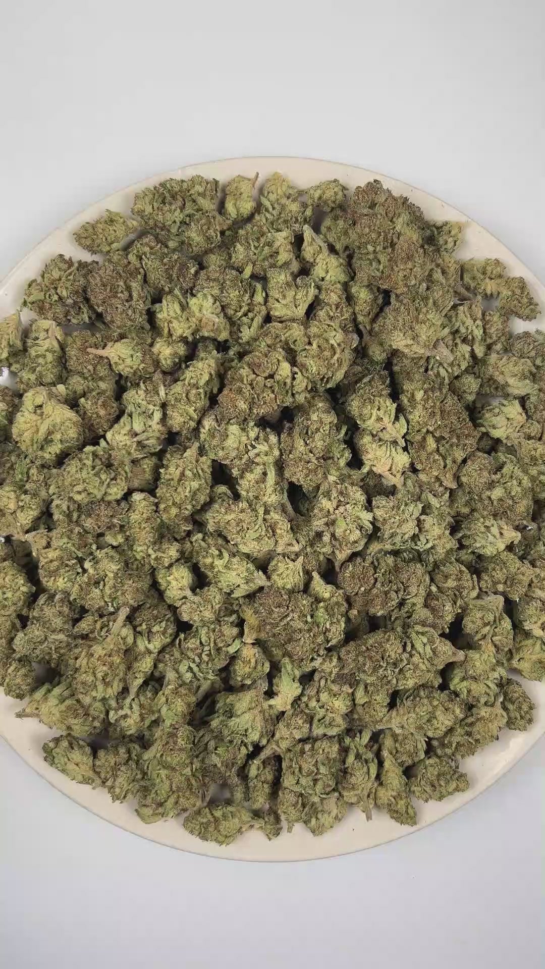PUFFY Grapelicious is a balanced hybrid THCa strain, shaped through the genetic blending of Mimosa and Miracle Vanilla Frosting. The aroma bursts with sweet ripe grapes layered over bright notes of fresh orange and zesty grapefruit. Visually, dense fresh green buds with purple hues and fiery orange pistils are coated in sticky trichomes. Consumers often report a euphoric and uplifting mood accompanied by greater social engagement and increased conversational flow, complemented by a mild, relaxing sense of e