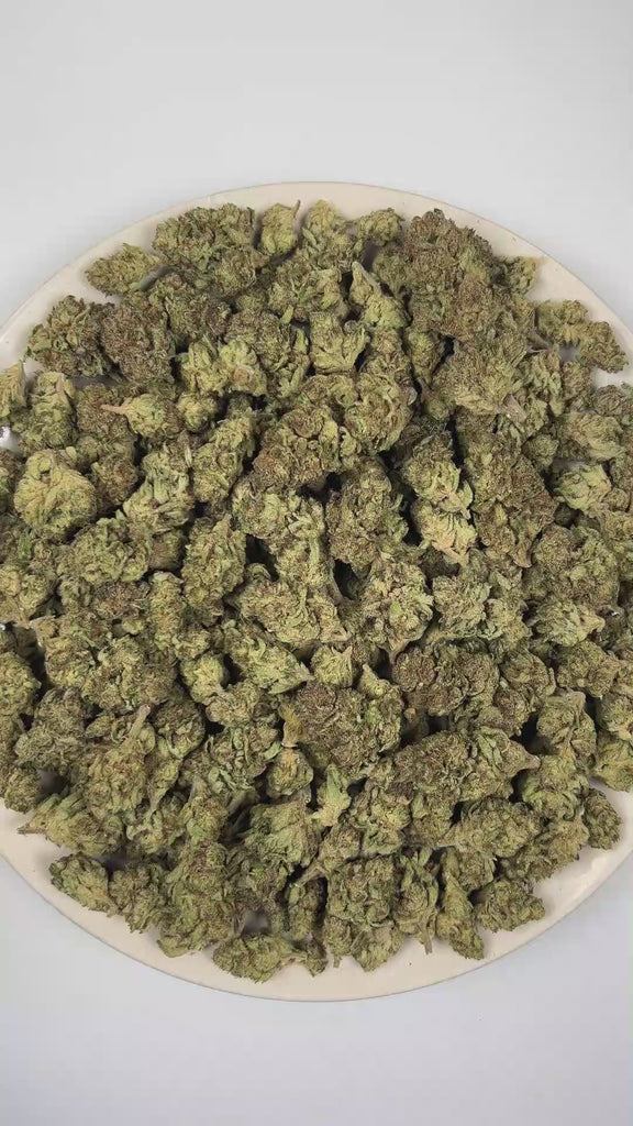 PUFFY Grapelicious is a balanced hybrid THCa strain, shaped through the genetic blending of Mimosa and Miracle Vanilla Frosting. The aroma bursts with sweet ripe grapes layered over bright notes of fresh orange and zesty grapefruit. Visually, dense fresh green buds with purple hues and fiery orange pistils are coated in sticky trichomes. Consumers often report a euphoric and uplifting mood accompanied by greater social engagement and increased conversational flow, complemented by a mild, relaxing sense of e