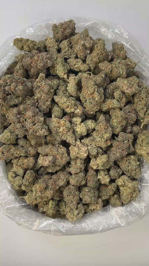 PUFFY Orange Vanilla Milano is a sativa-dominant hybrid THCa strain created by crossing the zesty Tangie with creamy Cookies & Cream #3. The aroma bursts with vibrant, juicy blood oranges layered over smooth, rich vanilla, all wrapped in a distinct, pungent gassy undertone that adds an intriguing, edgy complexity. Visually, the dense, medium-sized buds display vibrant forest green and bright orange pistils, coated in frosty white trichomes for a sticky, crystalline sheen. Consumers often experience enha