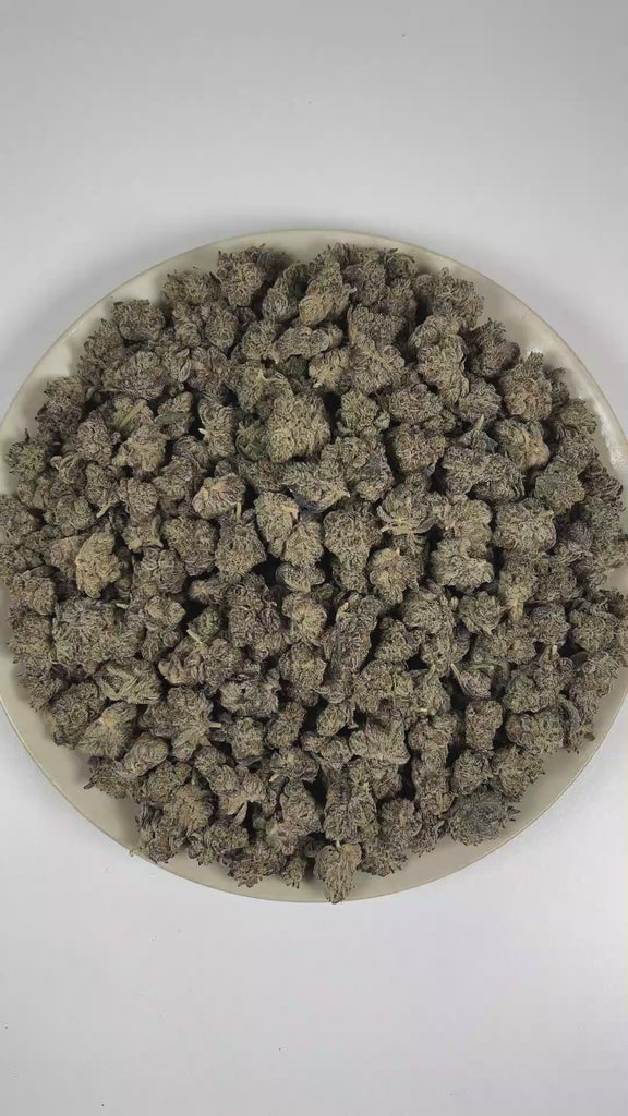 PUFFY White Truffle (smalls) is an indica-dominant hybrid THCa strain, crafted from the legendary lineage of Gorilla Butter, a standout phenotype of Gorilla Glue #4 × Peanut Butter Breath. The aroma is smooth and inviting, layered with rich buttery notes, warming spices, and delicate nuttiness. Visually, dense forest green buds with purple hues and fiery orange pistils are coated in sticky trichomes. Consumers often report a wave of euphoria that lifts mood and sharpens focus before melting into soothing fu