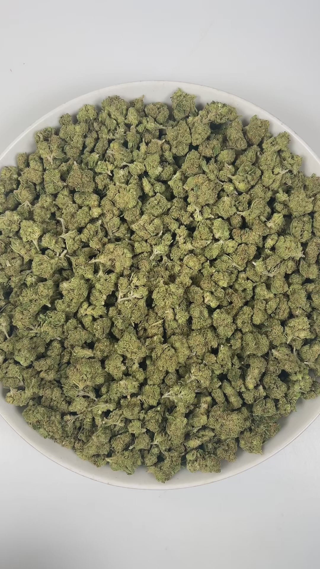 PUFFY Lemon Bananas (smalls) is a balanced hybrid THCa strain expertly crafted with an air of mystery, with Banana Kush being the most commonly suggested influence. The aroma is a vibrant fusion of ripe bananas, zesty lemon, and exotic tropical notes. Visually, dense spring green buds with purple hues and fiery orange pistils are coated in sticky trichomes. Consumers often report a euphoric and uplifting sense of happiness, paired with a spark of creativity and clear mental focus, balanced by smooth, flowin