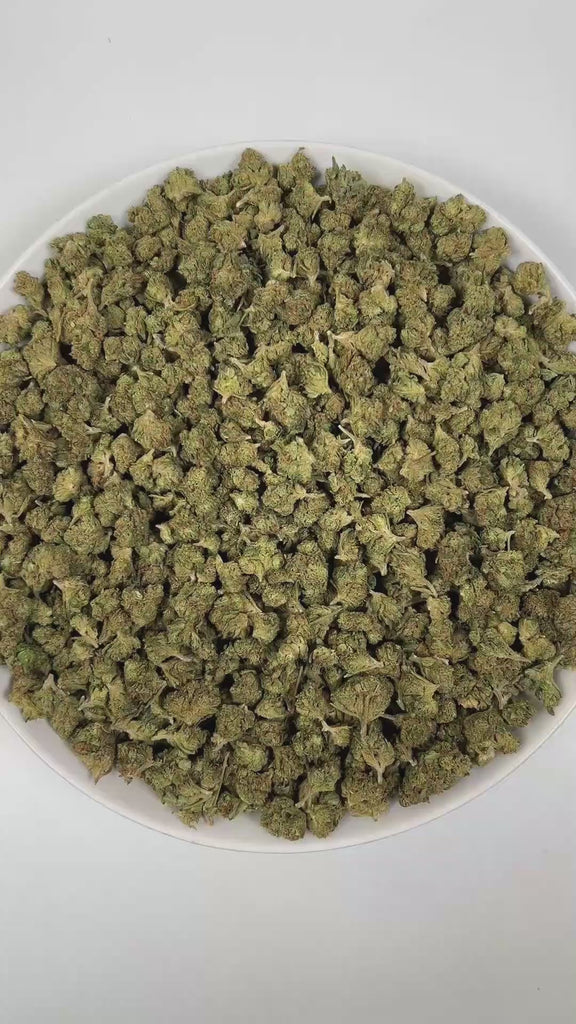 PUFFY Sour Tangie (smalls) is a sativa-dominant hybrid THCa strain, hailing from the legendary genetics of East Coast Sour Diesel and Tangie. The aroma opens with bright, zesty tangerine notes, layered with a sweet undertone and a subtle hint of rubbery earthiness, creating a uniquely vibrant and intriguing scent. Visually, the dense buds display rich forest-green tones with hints of purple, accented by vibrant orange pistils and enveloped in a frosty layer of trichomes. Consumers often report a cerebral, u