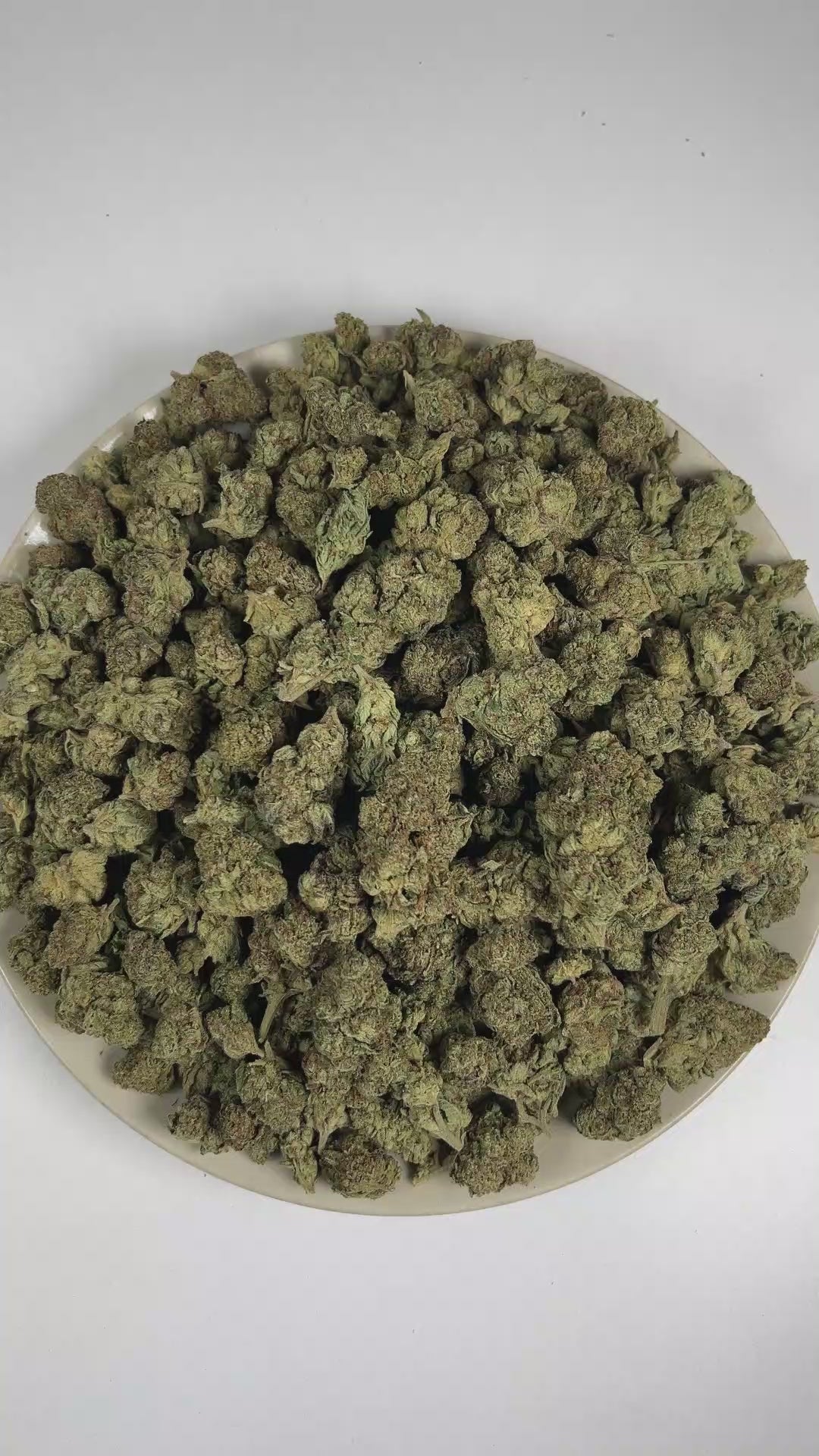 PUFFY Girl Scout Cookies is an Indica-dominant hybrid THCa strain born from the legendary cross of OG Kush and Durban Poison. The aroma blends cool mint and refined nutty notes, complemented by a lingering sweet finish. Visually, dense forest green buds with purple hues and fiery orange pistils are coated in sticky trichomes. Consumers often report a euphoric high that uplifts the mood, promoting a soothing sense of calm, easing tension, and encouraging a focused mental state.  