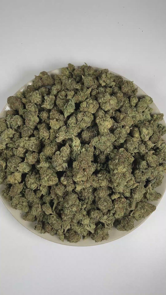 PUFFY Girl Scout Cookies is an Indica-dominant hybrid THCa strain born from the legendary cross of OG Kush and Durban Poison. The aroma blends cool mint and refined nutty notes, complemented by a lingering sweet finish. Visually, dense forest green buds with purple hues and fiery orange pistils are coated in sticky trichomes. Consumers often report a euphoric high that uplifts the mood, promoting a soothing sense of calm, easing tension, and encouraging a focused mental state.  