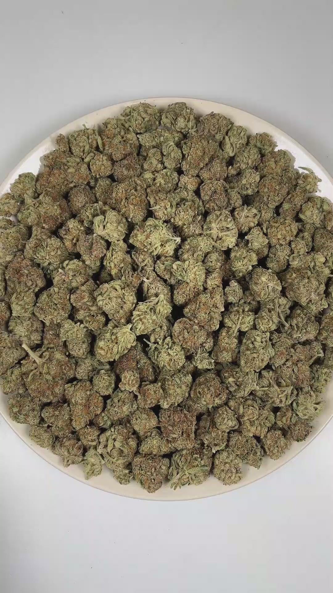 PUFFY Pink Champagne is an indica-dominant hybrid THCa strain bred from the exceptional pairing of Granddaddy Purple and Cherry Pie. The aroma is a rich and inviting blend of ripe plum, delicate roses, and sweet, juicy berries, creating a fragrant profile that is both floral and fruity. Visually, dense forest green buds with purple hues and fiery orange pistils are coated in sticky trichomes. Consumers often report a euphoric, relaxed, and calm body high that may help ease stress and restlessness, promoting