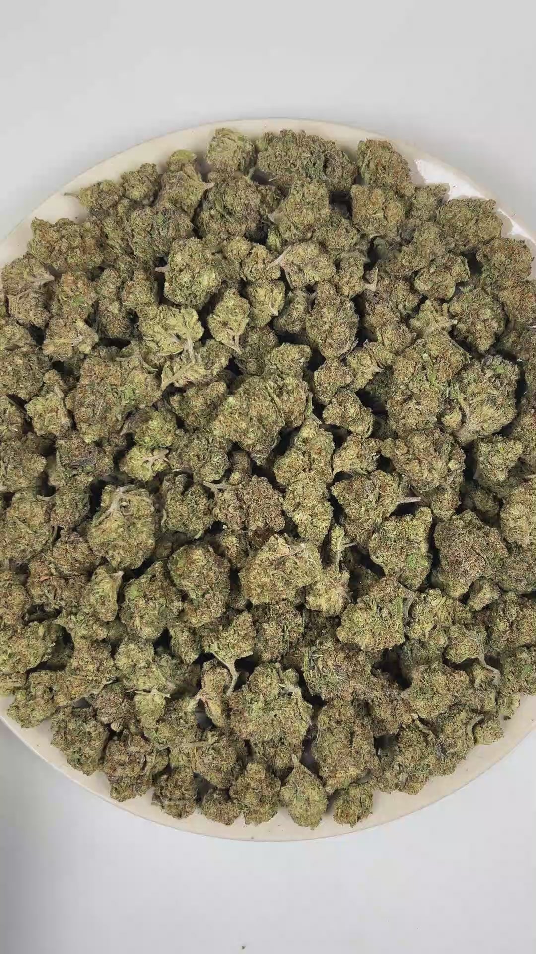 PUFFY Pluto is an indica hybrid THCa strain derived from the primary genetic cross of Gelato #33 and Triangle Kush (TK 1991 Bx1). Aroma is a rich fusion of ripe blueberries, sharp citrus zest, and juicy tropical fruit notes. Visually, dense forest green buds with purple hues and fiery orange pistils are coated in sticky trichomes. Consumers often report feeling euphoric, deeply relaxed, and mentally uplifted, with a balanced sense of calm energy and mood elevation. 