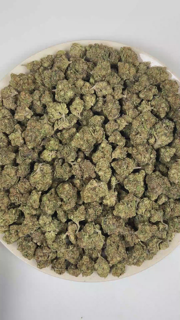 PUFFY Pluto is an indica hybrid THCa strain derived from the primary genetic cross of Gelato #33 and Triangle Kush (TK 1991 Bx1). Aroma is a rich fusion of ripe blueberries, sharp citrus zest, and juicy tropical fruit notes. Visually, dense forest green buds with purple hues and fiery orange pistils are coated in sticky trichomes. Consumers often report feeling euphoric, deeply relaxed, and mentally uplifted, with a balanced sense of calm energy and mood elevation. 