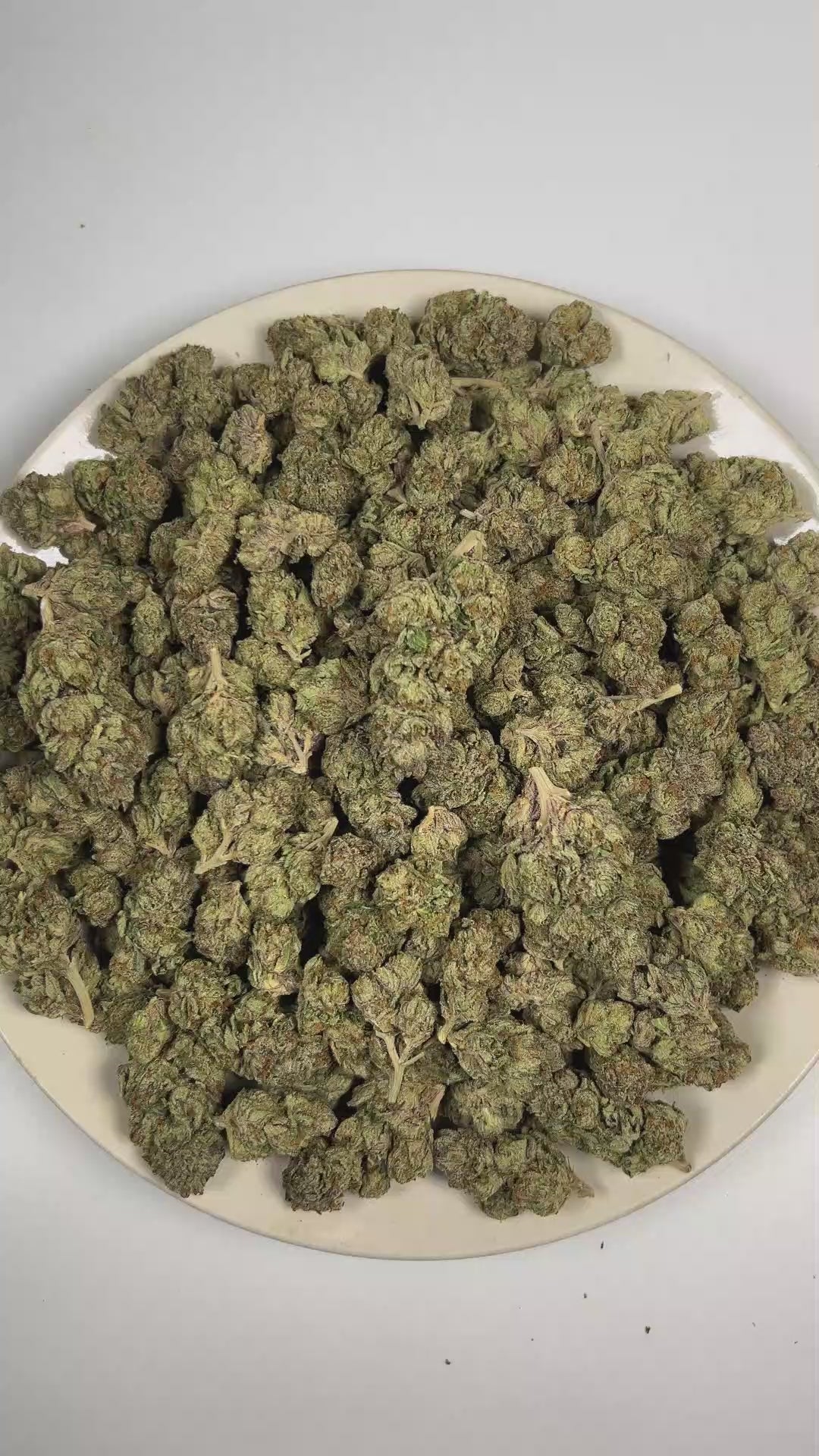 PUFFY Gelato 41 is an indica-dominant hybrid THCa strain, expertly crafted from a potent cross between Sunset Sherbet and Thin Mint Cookies. The aroma is rich with pungent Fuel and sharp Diesel notes, complemented by a distinctly chemical-like finish. Visually, buds are dense and frosty, featuring deep green and purple hues with bright orange pistils and a thick coating of sparkling trichomes. Consumers often report an uplifting euphoria that energizes the mind, boosts creativity, and sparks a sense of blis