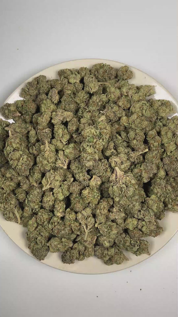 PUFFY Gelato 41 is an indica-dominant hybrid THCa strain, expertly crafted from a potent cross between Sunset Sherbet and Thin Mint Cookies. The aroma is rich with pungent Fuel and sharp Diesel notes, complemented by a distinctly chemical-like finish. Visually, buds are dense and frosty, featuring deep green and purple hues with bright orange pistils and a thick coating of sparkling trichomes. Consumers often report an uplifting euphoria that energizes the mind, boosts creativity, and sparks a sense of blis