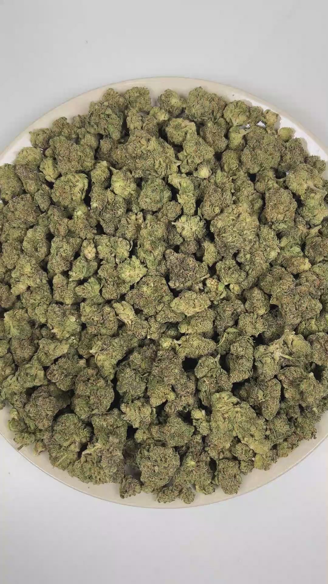 PUFFY Thin Mint x Jealousy is a balanced hybrid THCa strain created from a complex cross of (Girl Scout Cookies phenotype) × (Sherbert Bx1 × Gelato 41). The aroma delivers a rich blend of pungent gas, fresh herbal undertones, and sweet bubblegum notes. Visually, dense forest green buds with purple hues and fiery orange pistils are coated in sticky trichomes. Consumers often report a euphoric, mood-elevating onset that gradually settles into deep relaxation while still maintaining a creatively stimulating an