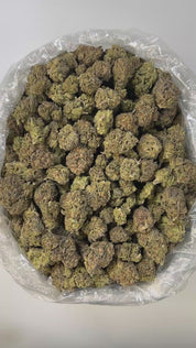 PUFFY Platinum Cookies is a well-balanced hybrid THCa strain, crafted from a flavorful lineage of OG Kush, Durban Poison, and an unknown Platinum cultivar. This strain boasts a rich, grounding aroma with deep earthy tones and warm woody undertones, evoking the scent of fresh soil and aged cedar. Visually striking, its dense buds range from olive green to deep purple, generously coated in frosty white trichomes and highlighted by vibrant orange to amber pistils. Consumers often report feelings of euphoria, r