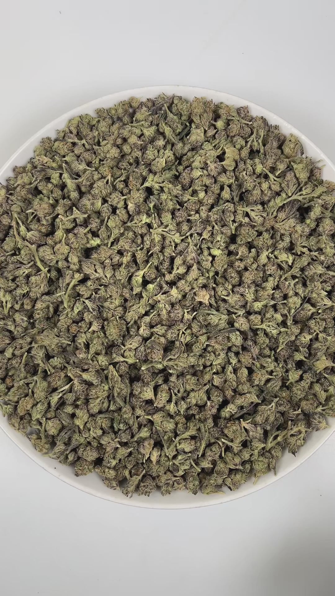 PUFFY Gelato (smalls) is a balanced hybrid THCa strain, created by crossing Sunset Sherbet and Thin Mint Girl Scout Cookies. The aroma is a luscious blend of creamy richness and warm, comforting vanilla, layered with sweet notes that delight the senses. Visually, the buds are dense and dark green with subtle purple hues, highlighted by bright orange pistils and a generous coating of frosty trichomes. Consumers often report a cerebral uplift and sense of euphoria, promoting an elevated mood, creativity, and 