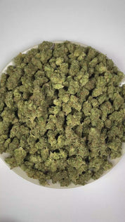 PUFFY Maryland Mantis is a balanced hybrid THCa strain with an undocumented genetic lineage, as its specific parent strains have not been confirmed. The aroma opens with a vibrant burst of zesty citrus, complemented by crisp pine notes and a bold, pungent diesel undertone. Visually, dense forest green buds with purple hues and fiery orange pistils are coated in sticky trichomes. Consumers often report a refined blend of euphoric bliss, uplifting sensations, and soothing relaxation.