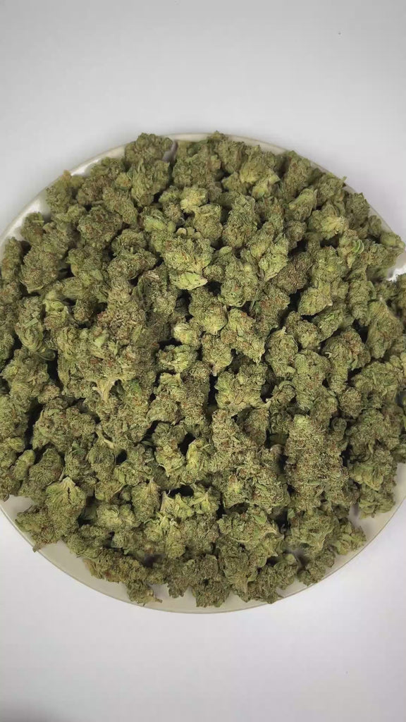 PUFFY Maryland Mantis is a balanced hybrid THCa strain with an undocumented genetic lineage, as its specific parent strains have not been confirmed. The aroma opens with a vibrant burst of zesty citrus, complemented by crisp pine notes and a bold, pungent diesel undertone. Visually, dense forest green buds with purple hues and fiery orange pistils are coated in sticky trichomes. Consumers often report a refined blend of euphoric bliss, uplifting sensations, and soothing relaxation.