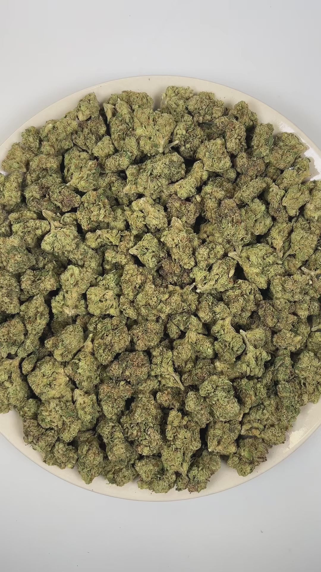 PUFFY Galactic Candy is a sativa-dominant hybrid THCa strain crafted from the standout genetics of Orange Velvet and Space Queen. The aroma is a striking blend of sweet candy-like notes layered with sharp diesel undertones and bright, zesty citrus. Visually, dense forest green buds with purple hues and fiery orange pistils are coated in sticky trichomes. Consumers often report a euphoric and cerebral rush that boosts focus and motivation, transitioning into a mild calming body relaxation.