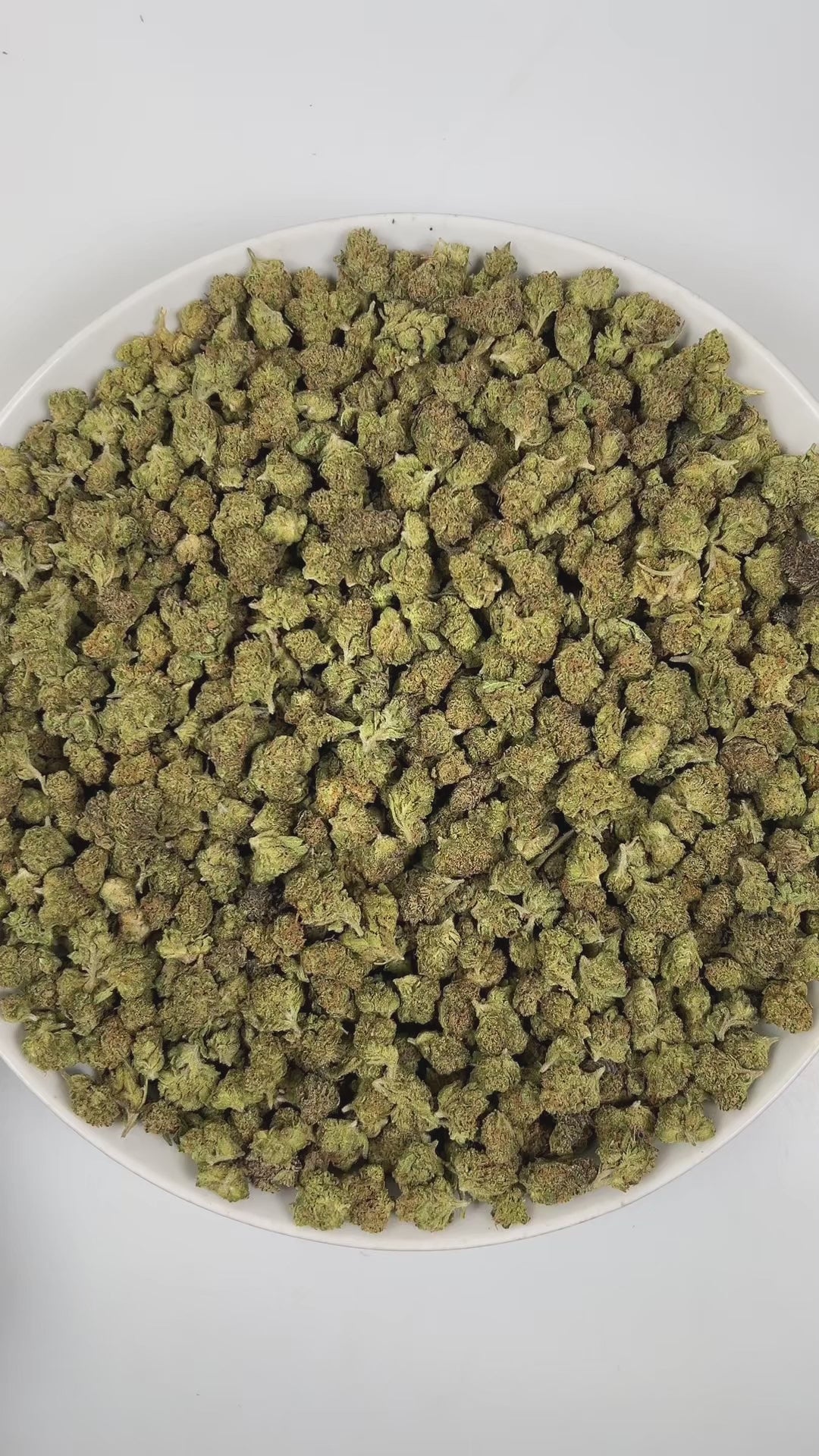 PUFFY Purple Goo (smalls) is an indica-dominant hybrid THCa strain, bred from the iconic pairing of Afgoo and Purple Kush. The aroma is a luscious blend of tropical fruits, sweet grape, and smooth, creamy undertones. Visually, dense green buds with purple hues and fiery orange pistils are coated in sticky trichomes. Consumers often report a gentle wave of mental clarity paired with a soothing, full-body calm that leaves them uplifted.