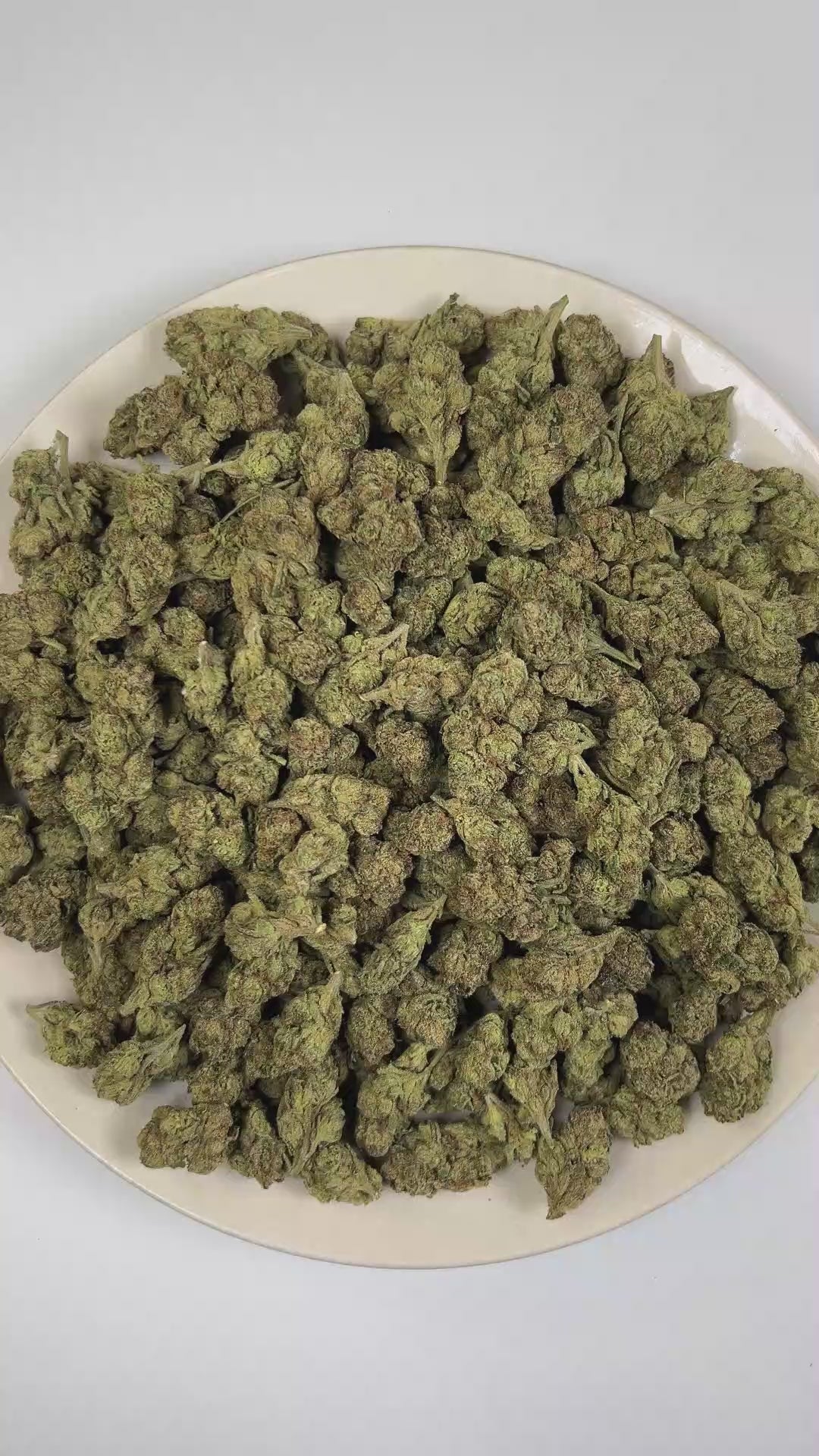 PUFFY Shock Tart (smalls) is a balanced hybrid THCa strain rooted in the exceptional lineage of Purple Thai and Afghani. The aroma opens with bold notes of pungent fuel and bright citrus, layered with a rich gassy finish. Visually, dense deep forest green buds with purple hues and fiery orange pistils are coated in sticky trichomes. Consumers often report feeling euphoric, content, relaxed, and focused, offering a soothing yet mentally engaging experience. 